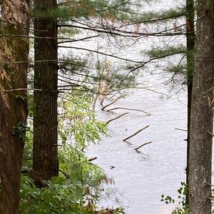 Meet your Posher, Shaun